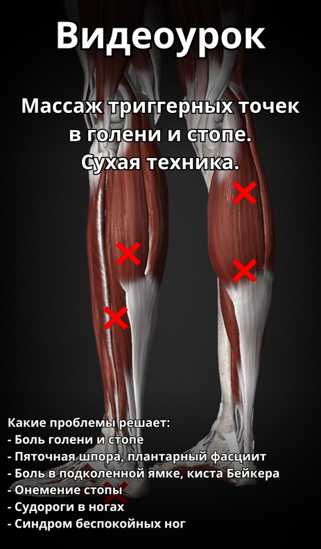 [Артем Пак] Массаж триггерных точек в голени и сто_0.png